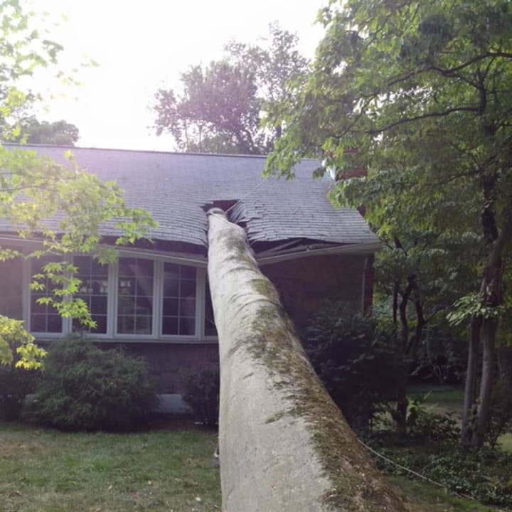 There were no injuries when a tree struck a house in Briarcliff