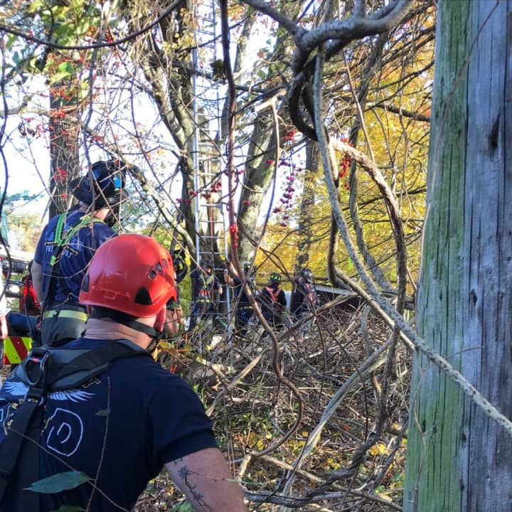 Firefighters work to rescue an injured trapped tree worker.