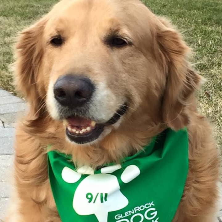 Purchase a Glen Rock Dog Park bandana for $5 to help build a dog park in Glen Rock.  A breakfast with Santa fundraiser for the cause is scheduled for Saturday.