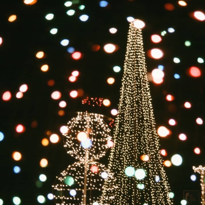 Tree lightings and holiday festivals are taking place all over Dutchess County.