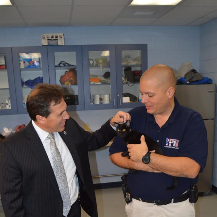 Yonkers Police Commissioner Charles Gardner and P.O. Pataky with yet to be named kitten.