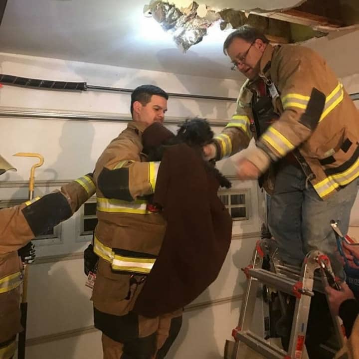Firefighters from the Shelton Volunteer Fire Co. #4 Pine Rock Park break open the ceiling of a home after a dog became trapped in heating duct.