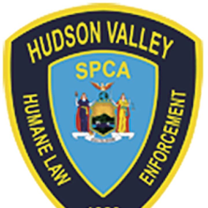 A Wallkill man was charged with beating a dog by the Hudson VAlley Humane Law Enforcement.