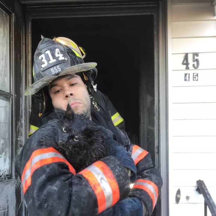 A cat was found under the bed following the Yonkers fire.
