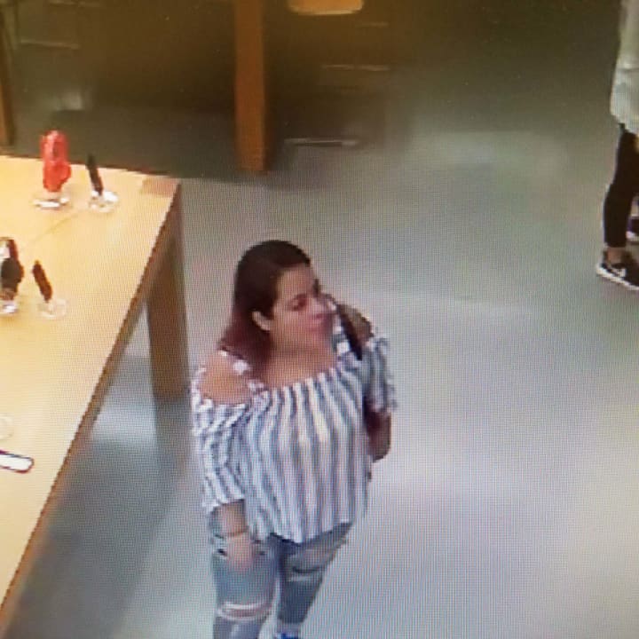 Police are seeking this woman in connection with a purse theft at T.J. Maxx in Shelton.