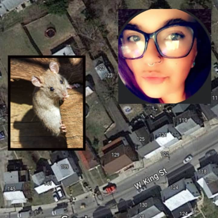 <p>Kayla Marie Little, a rat, and a map showing the 100 block of West King Street, Littlestown where her children's father and the rats were found, according to the Pennsylvania State Police.&nbsp;</p>