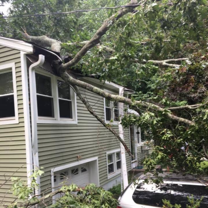 A house in Monroe was damaged when a tree fell on it on Sunday, said the Stepney Volunteer Fire Department.