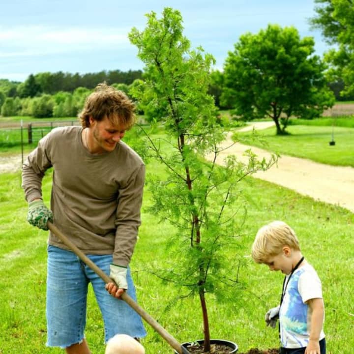Arbor Day is April 25.