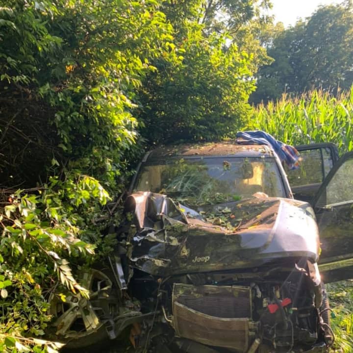 One person was seriously injured after a Jeep veered off the road and landed in a patch of woods in Northampton County Friday morning, authorities said.