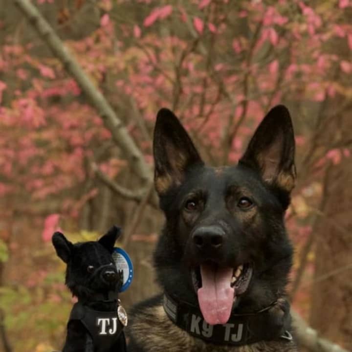 Purchase your own TJ plush toy and help support the Easton Police K-9 program.