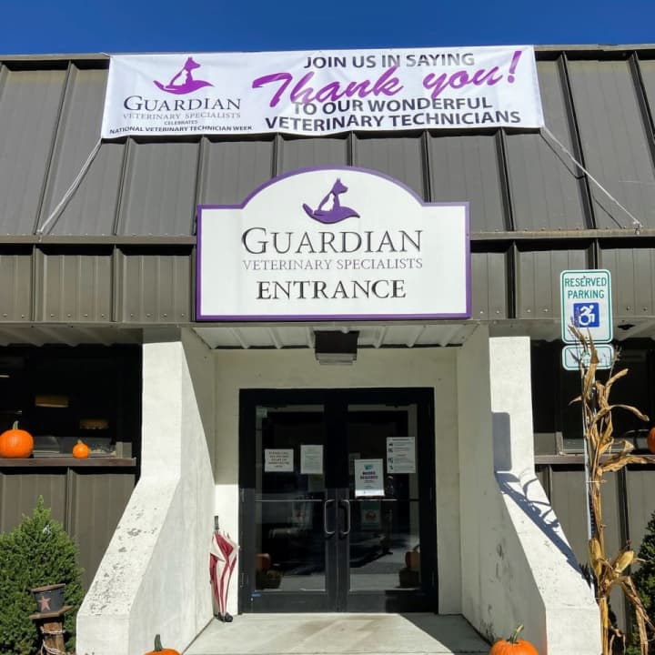 Guardian Veterinary Specialists 24 Hour Emergency Hospital in Putnam County.