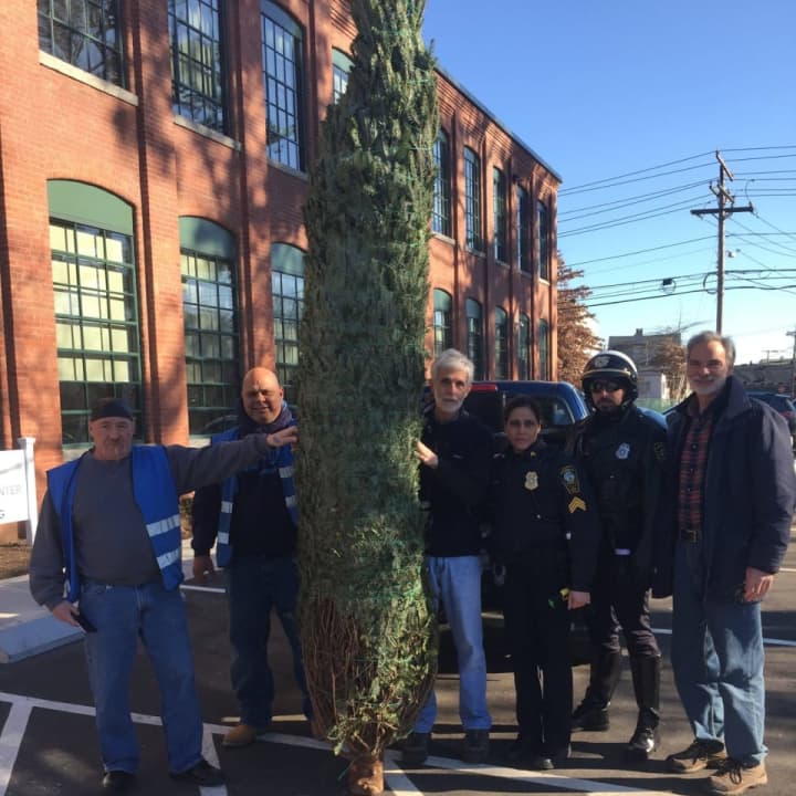 John and Jose of Norwalk Open Door Shelter, Mark, Sgt. Sofia Gulino, Officer Chris Wasilewski and Kevin hoist the tree to it&#x27;s new home.