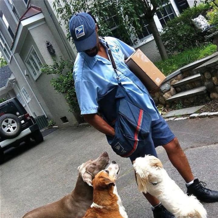 Bill Olave greets neighborhood dogs in Ridgewood.