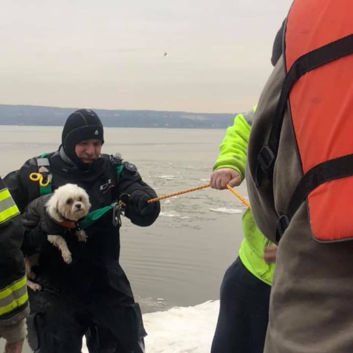 Piermont firefighters Danny Goswick rescues a small dog from the icy waters.