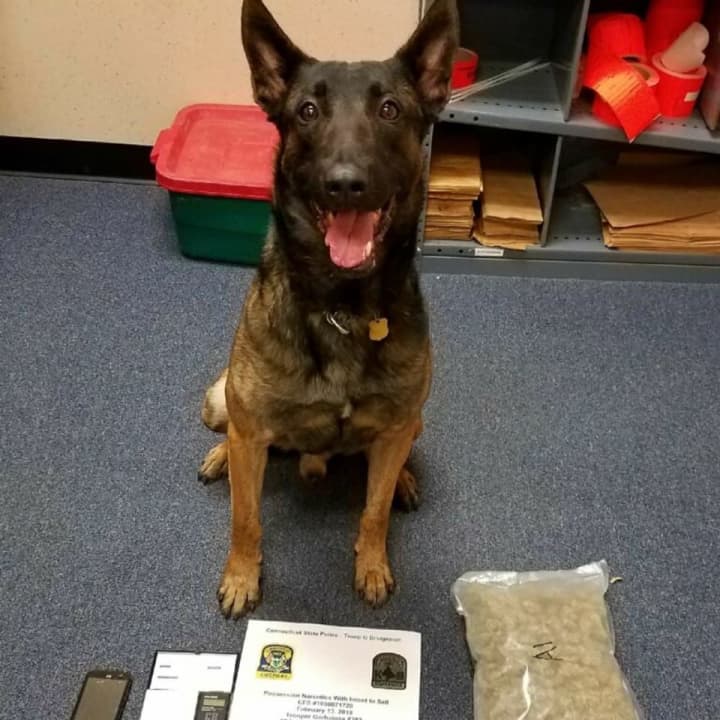 K9 Silver helped Connecticut State Police troopers recover cocaine, marijuana and nearly $2,500 in cash.