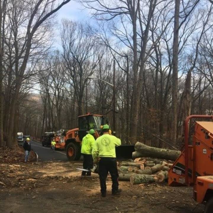 County and O&amp;R employees work to remove a tree blocking Wilder Road.