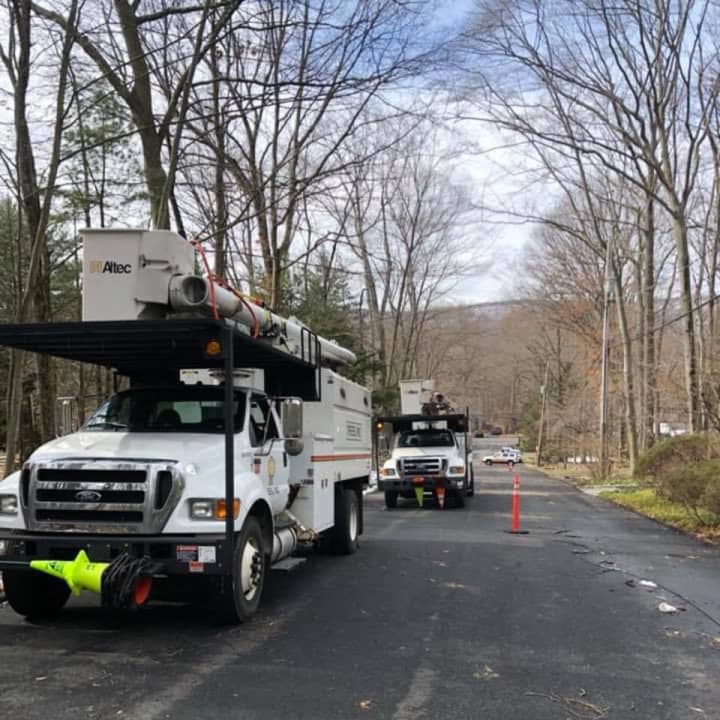 Crews removing trees over the weekend in Ramapo.