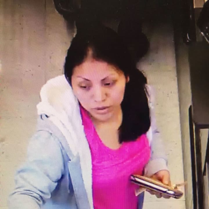Police in Ramapo have released photos of a woman who allegedly stole a purse from a shopping cart and taking off in a Jeep.
