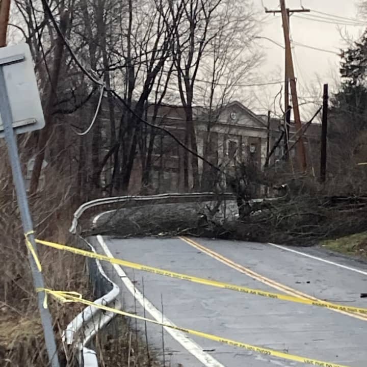 A tree fell on Route 22 in North Salem.