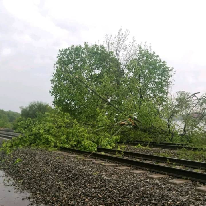 Metro-North crews worked overnight to remove more than 100 trees from tracks.