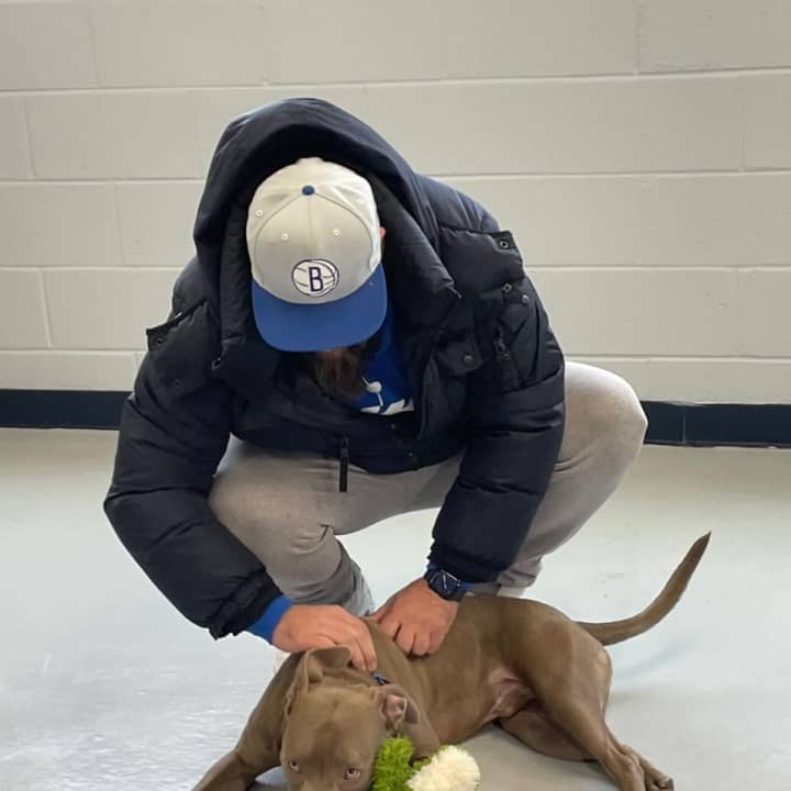 Maximus, a 9-month-old pitbull puppy who was previously seen in a viral video being abused, was adopted by a Yonkers couple.