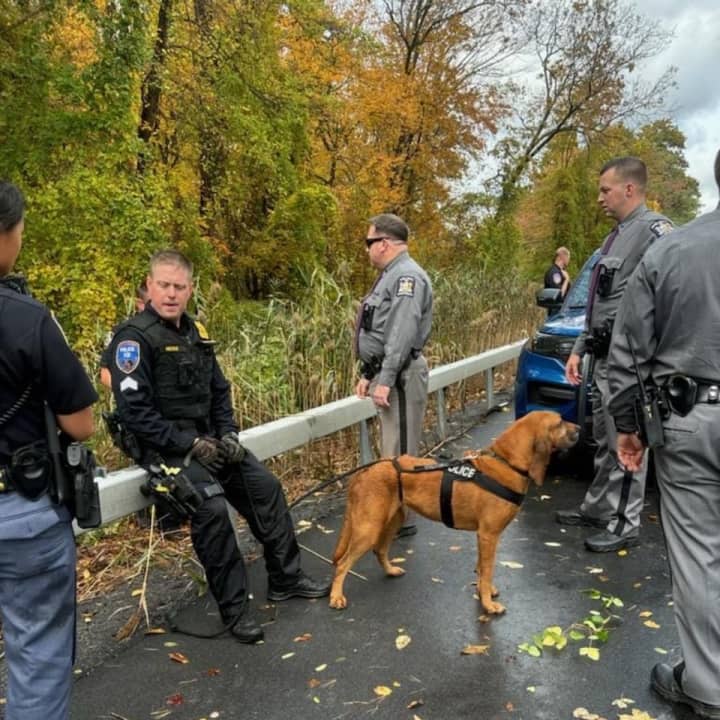 Members of the Westchester County Police and K9 officer Madison were involved in a pursuit near Westchester County Airport involving four suspects.&nbsp;