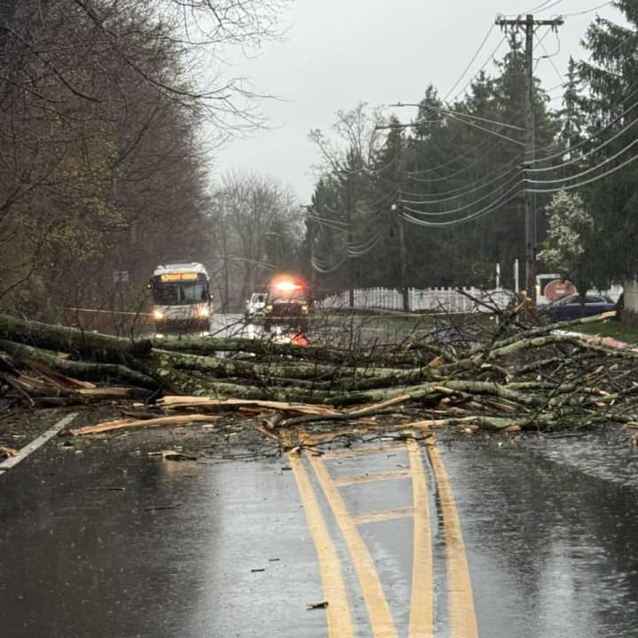 Hillside Avenue (Route 100) in Greenburgh at Valimar Boulevard was closed thanks to a downed tree.&nbsp;