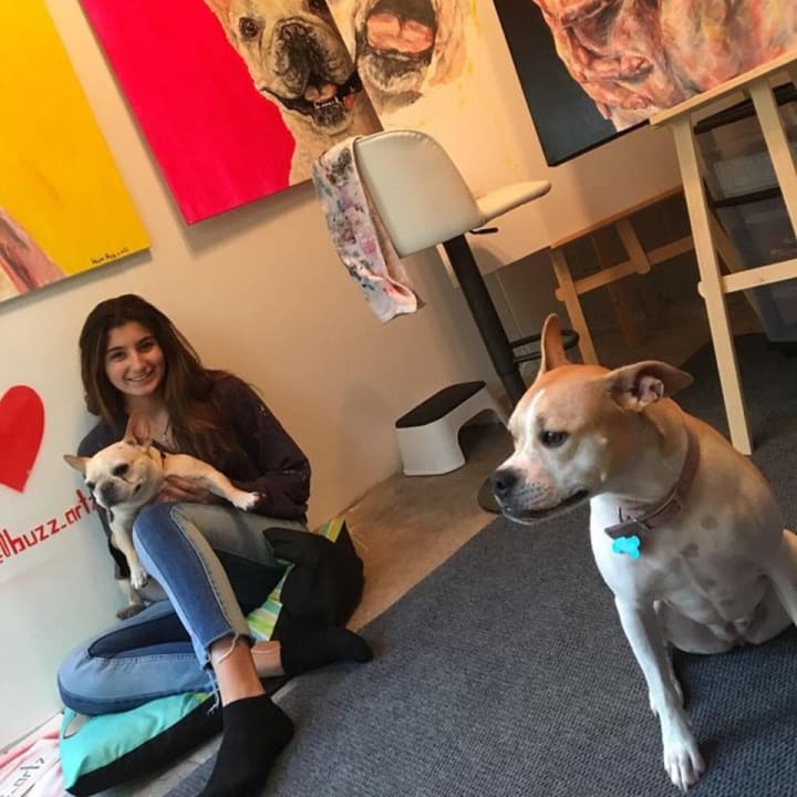 Hope Buzzelli, 17, is donating a portion of each commissioned dog painting to Good Karma Dog Rescue in River Vale.
