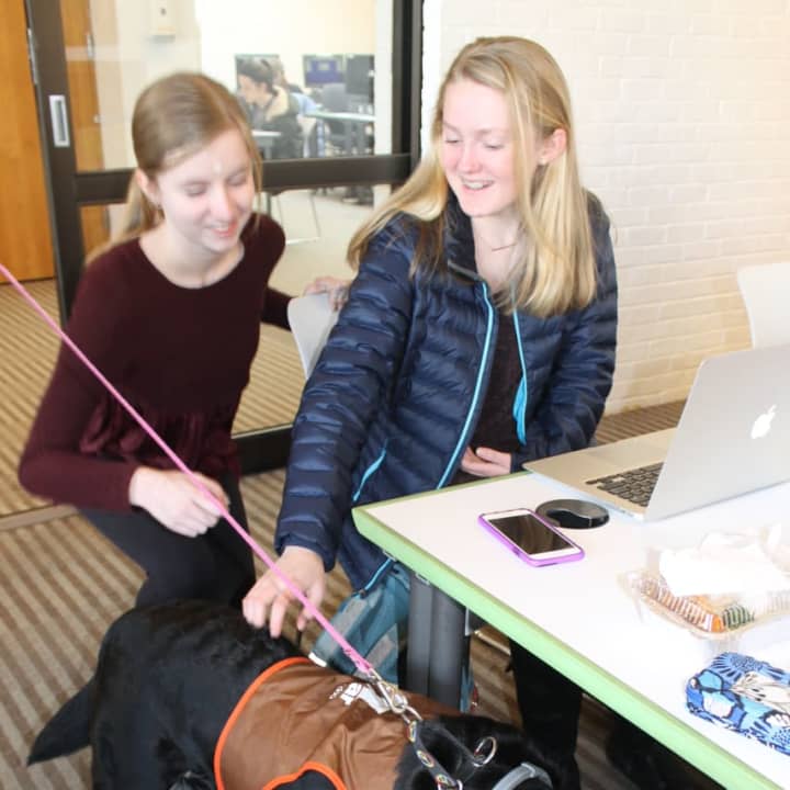 Abby Hinck and Emily Paradis took a break from mid-term studying last year at Wilton Library and spent some quality time with ROAR therapy dog Carly to de-stress during exam week.