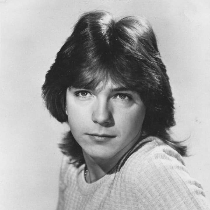 David Cassidy in a photo from his days on &quot;The Partridge Family&quot; TV show.