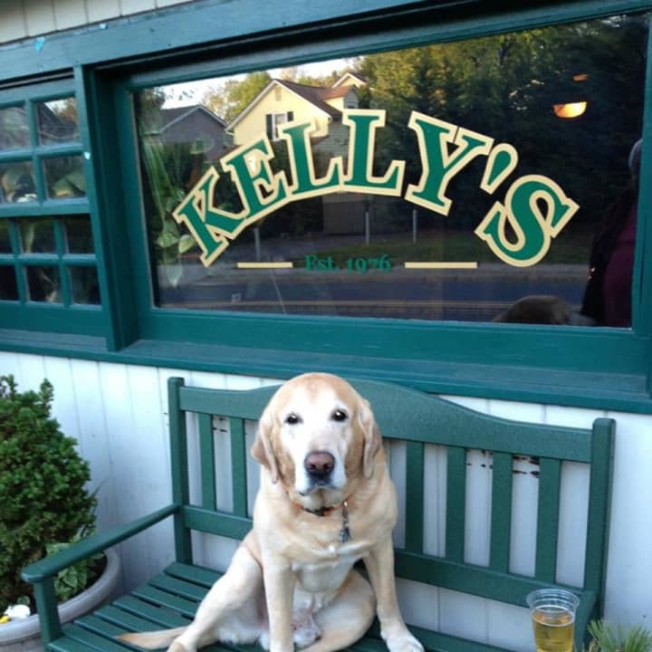 Kelly&#x27;s Sea Level in Rye, got a rave review from The New York Times.