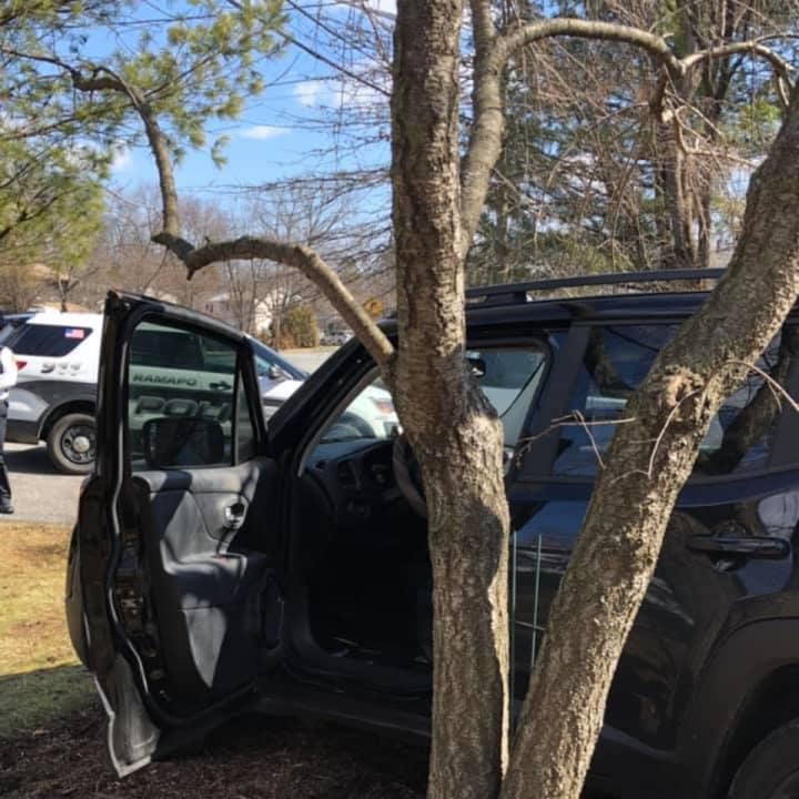 A woman took Ramapo Police on a slow-speed chase driving across lawns before hitting a tree.