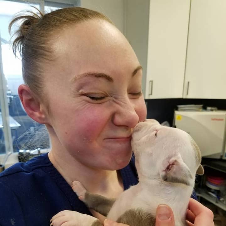 An Allendale vet tech plays with puppy Faith, who Ringwood rescue Southern Paws saved from a fighting ring in New York City.