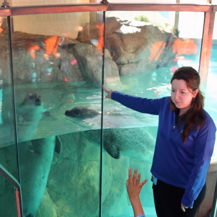 Preschool educational program at The Maritime Aquarium in Norwalk