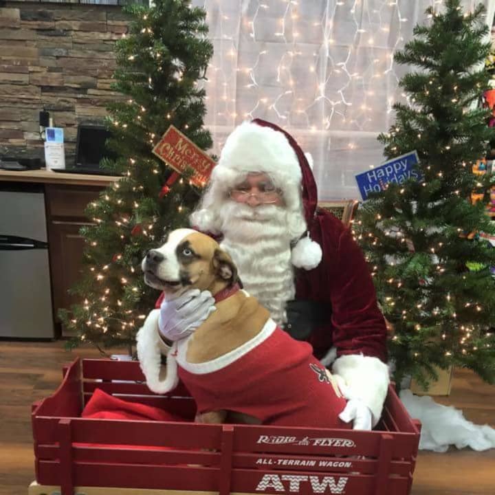 Families with pets can have holiday photos taken with Santa this weekend to benefit the Bergen County Protect and Rescue Foundation.