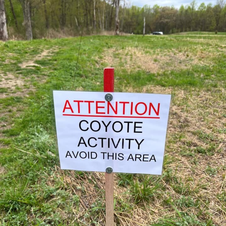 New Canaan city officials have posted signs in a part of Waveny Park where a dog walker was approached by a coyote.