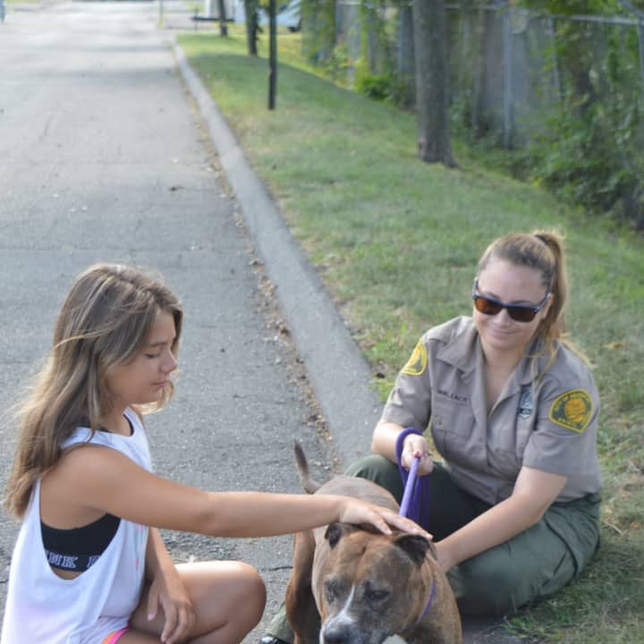 Charlotte Lynne, left, and Chief Animal Control Officer Jennifer Wallace spend some one-on-one time with shelter guest Charlotte.