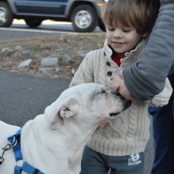The West Milford Animal Shelter is having a pet protection fundraiser.