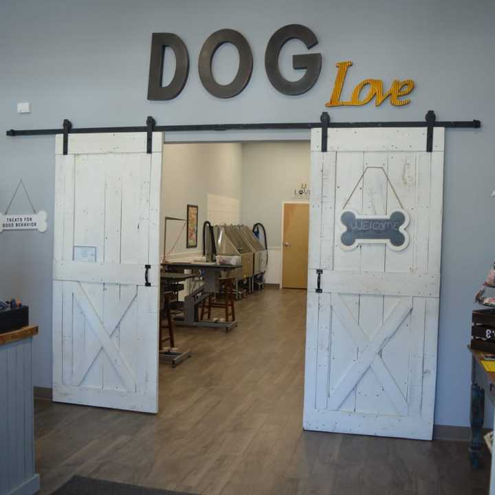 Wet paws shop dog grooming