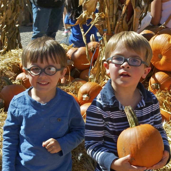 Two boys having fun in the pumpkin patch at Silverman&#x27;s Farm.