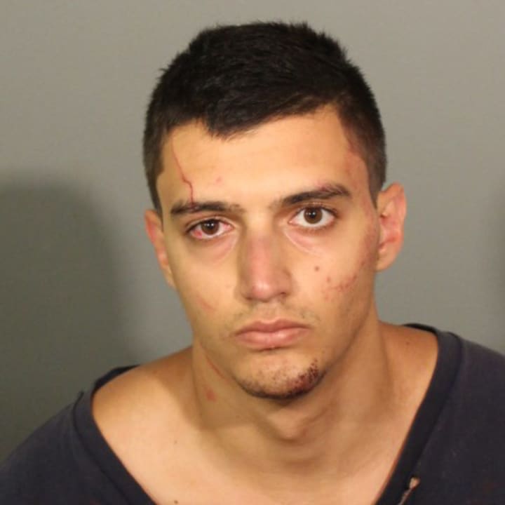 Pierre Elhayek was charged with assaulting a Danbury police officer.