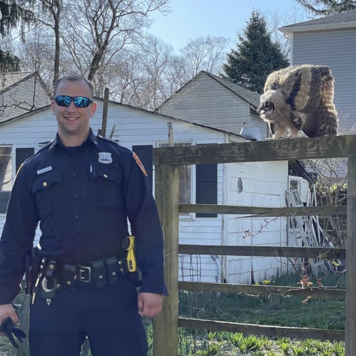 Suffolk County Police Officer Andrew Hooghuis and the owl.