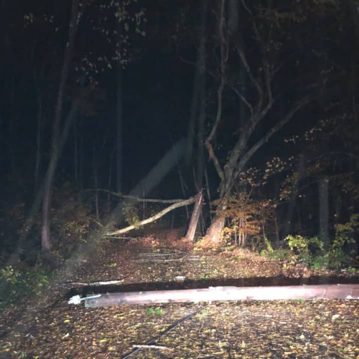 Trees and power lines were downed in Connecticut during the Nor&#x27;easter.