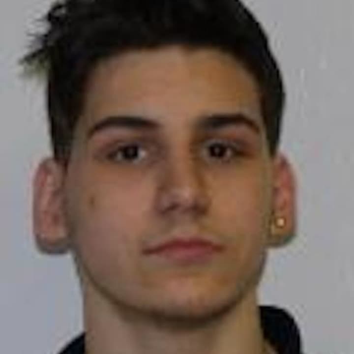 Seth Feliz, 17, of Wallkill was charged with possession of stolen property after wrecking a stolen vehicle.