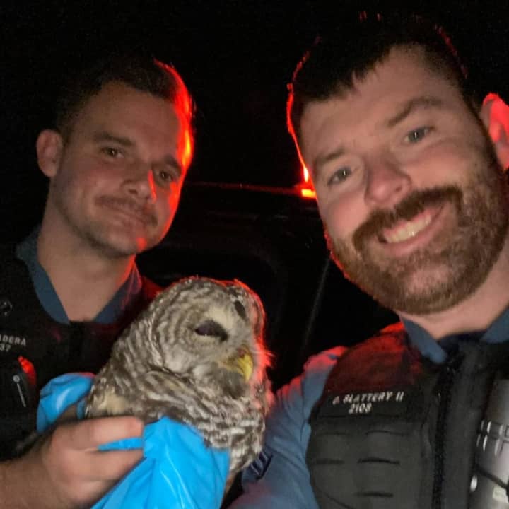 The police officers with the rescued owl.