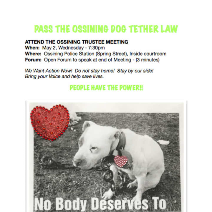 A flyer being circulated in the Ossining area promoting a &quot;tether law&quot; that would bar neglect of pets.