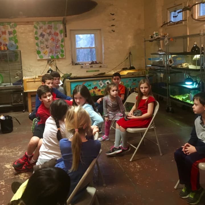 The Chappaqua Children&#x27;s Workshop visited the Weinberg Nature Center. 