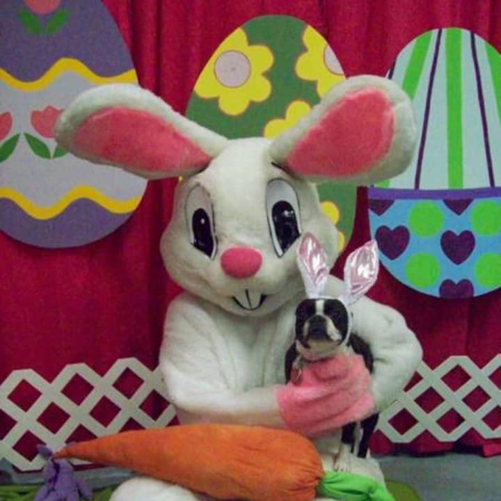 The Easter Bunny will be taking photos with pets in Putnam