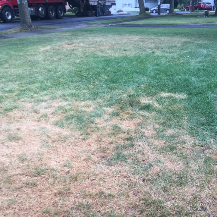 Ridgewood homeowners have to follow the village&#x27;s restrictions for watering their lawns.