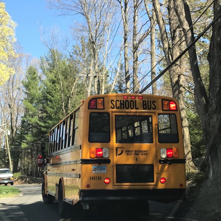 Police in Ramapo pulled over a school bus driver after the driver passed a second school bus that was stopped and picking up children with its red lights flashing.